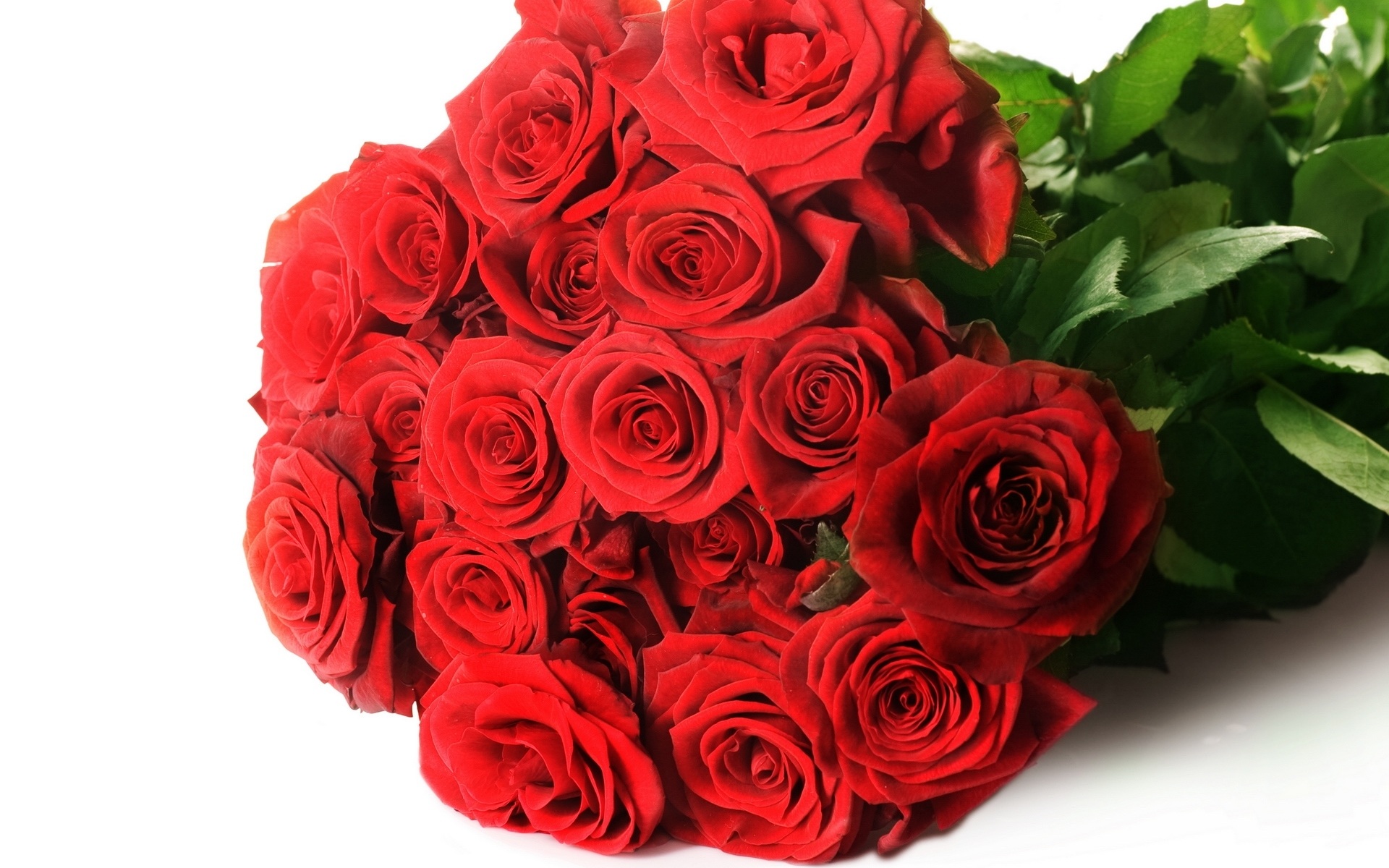 Những bó hoa hồng đẹp và lãng mạn nhất thế giới - REC ...