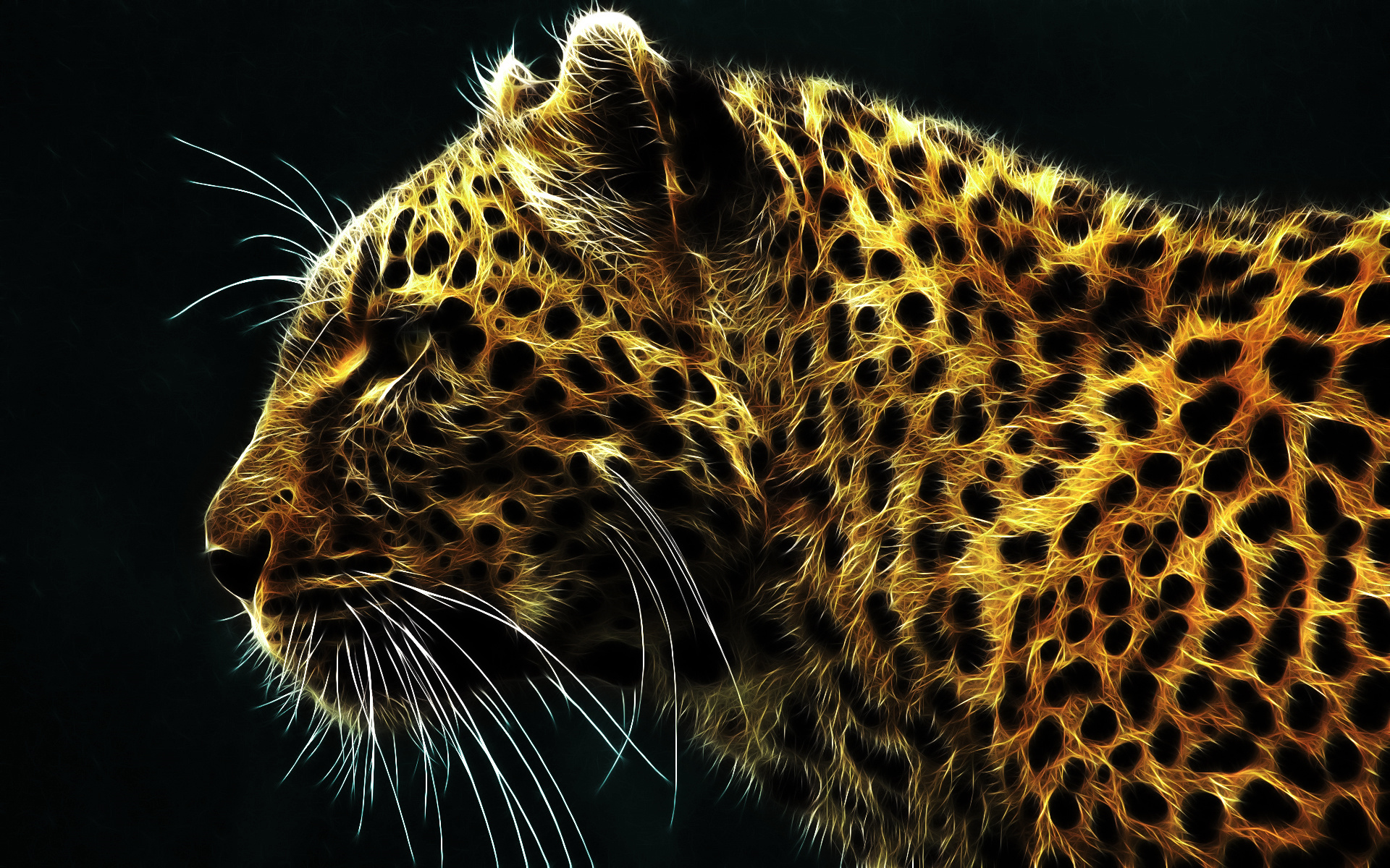 Hình nền động vật hoang dã đa dạng và phong phú nhất thế giới