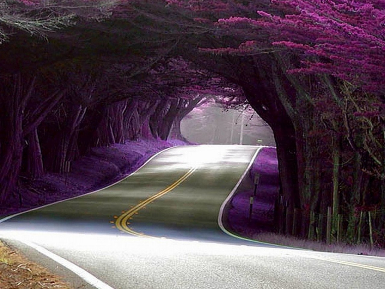 Top 50 hình ảnh những con đường đẹp nhất trên thế giới 33