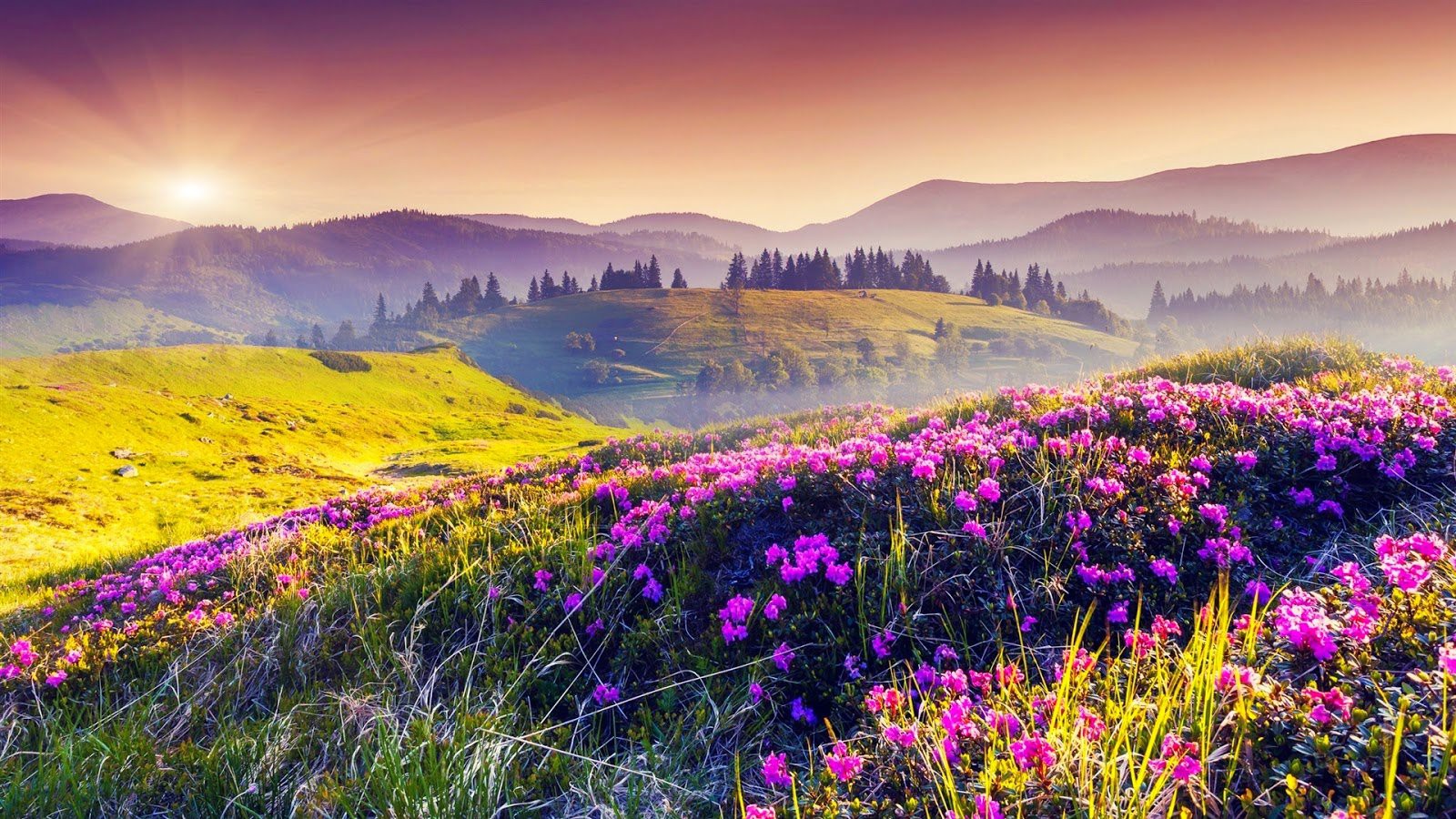 Top 150 hình nền thiên nhiên 4K đẹp nhất thế giới